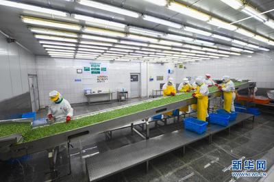 浙江慈溪推進高效集約現代農業發展