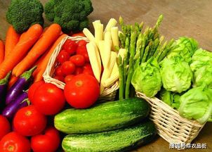 農業社交電商 綠色食品博覽會中的農產品銷售新篇章