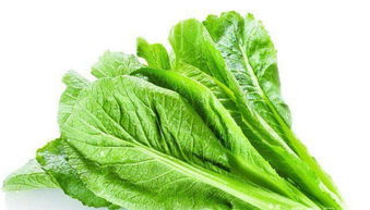 廣州大型蔬菜配送公司 專業批發水果農副產品與食堂承包服務